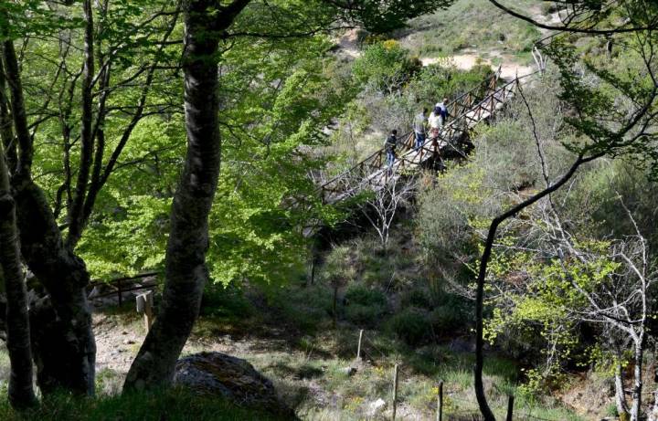 En Covalagua podemos hacer senderismo, e incluso un pícnic o merienda campestre.