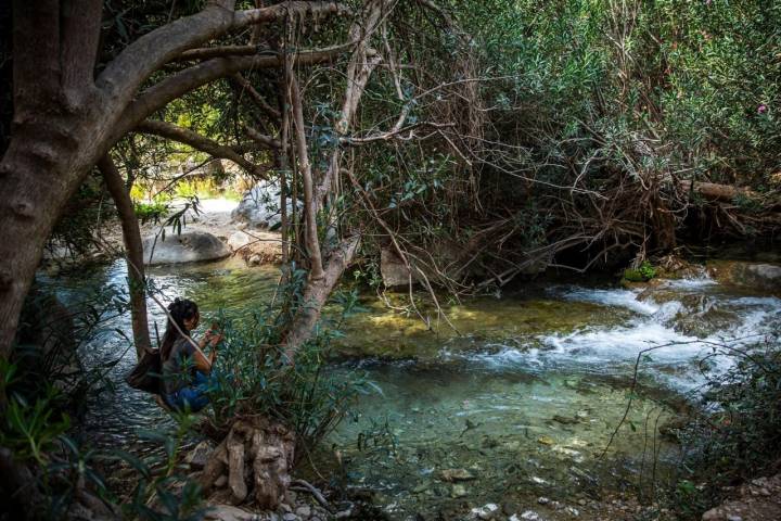 Les Fonts d'Algar (Callosa d'en Sarrià, Alicante) chica en el río