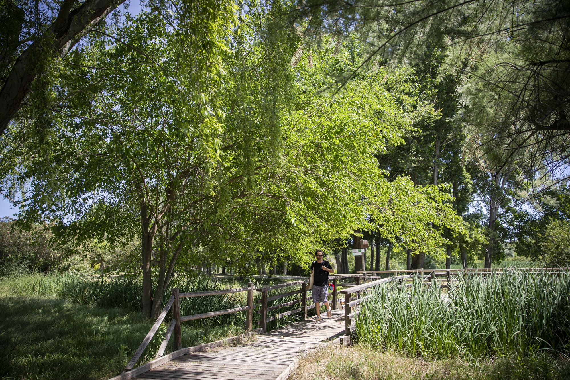 Los Borja en la Com. Val. Etapa 1 jardines de 'Alquería