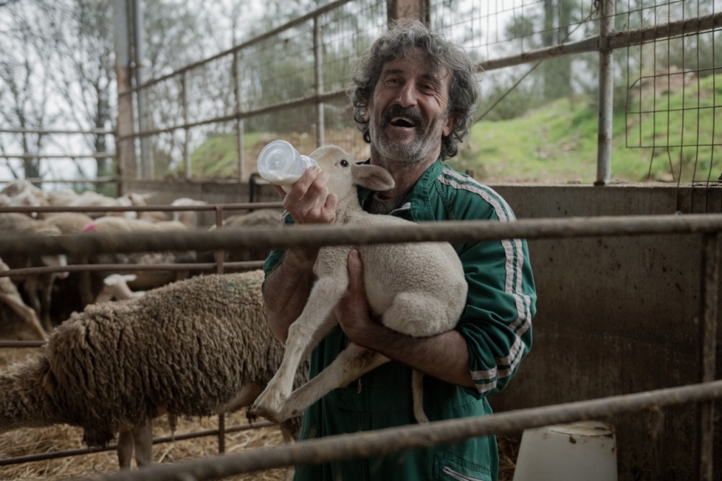 Santiago de Compostela, el hábitat natural de un veterinario rural Santiago de Compostela, el hábitat natural de un veterinario rural