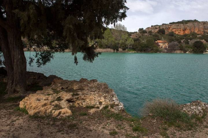 También en Albacete está la laguna San Pedro, de las Lagunas de Ruidera. | Manuel Ruiz Toribio