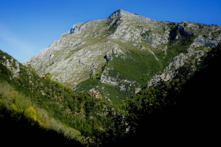 Puente Vidosa