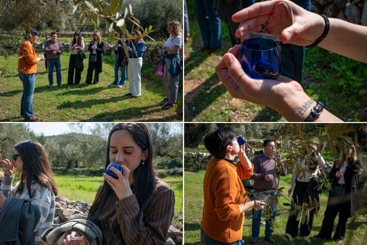 La visita guiada culmina con una interesante cata de aceite.