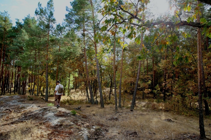 Necrópolis de Bañuelos (Burgos) Necrópolis de Bañuelos (Burgos)