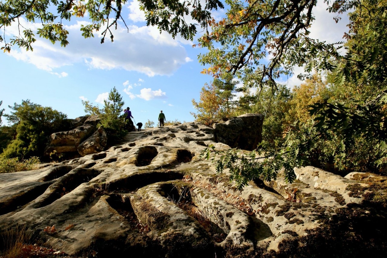 Necrópolis de Cuyacabras (Quintanar de la Sierra, Burgos)