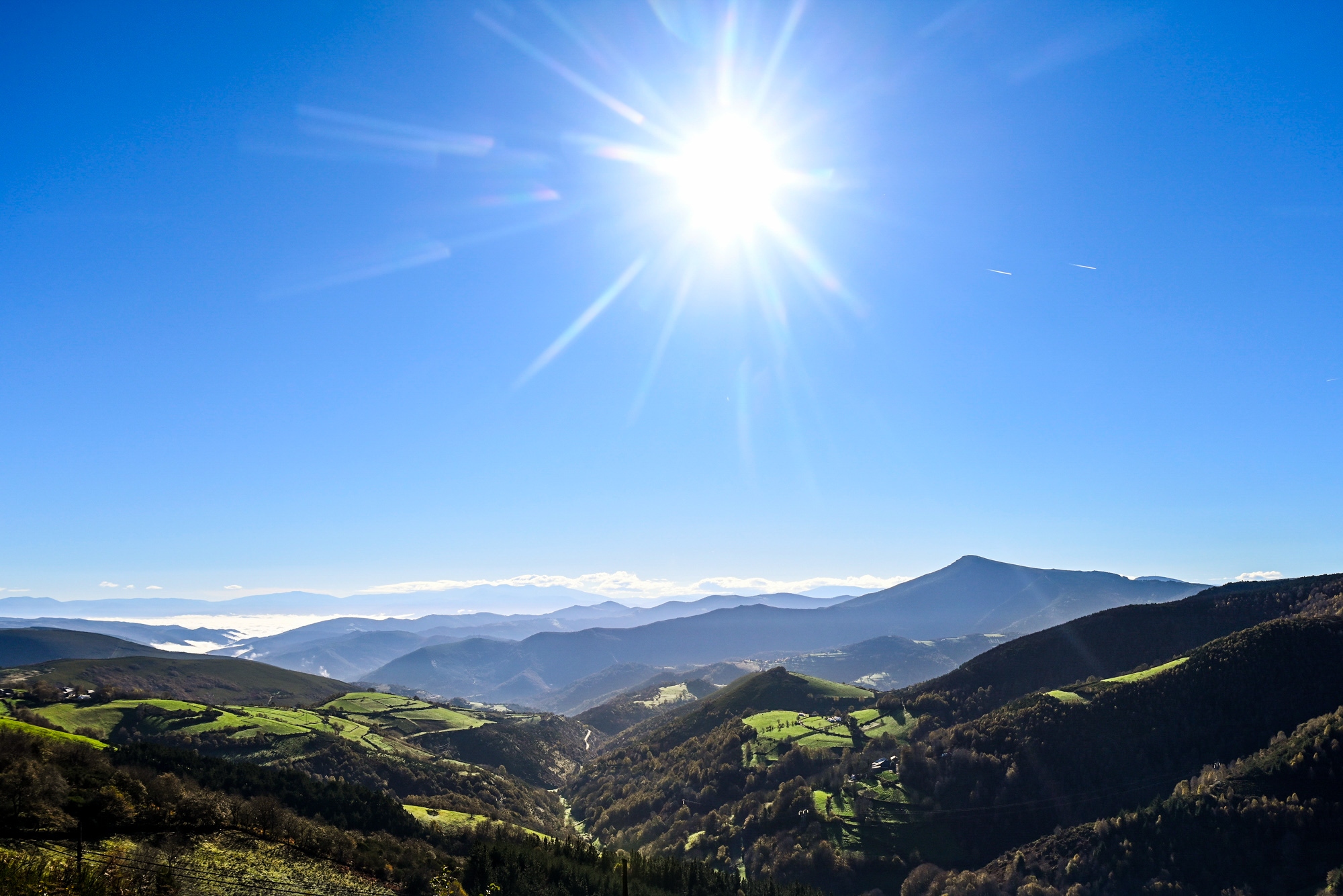 El tesoro natural de Galicia que brota en otoño