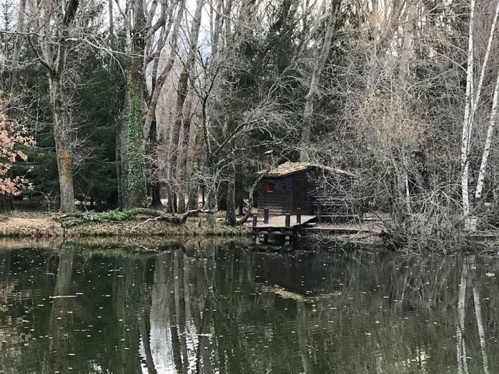 El bosque finlandés de Rascafría, un rinconcito para desconectar de todo. Foto: Ana Cañil.