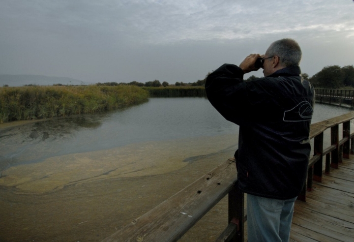 Parque Nacional Daimiel: turista contempla las tablas