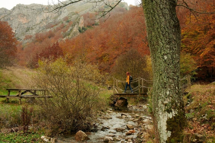 Un pequeño puente que atraviesa el arroyo antes de llegar a la pasarela de madera.