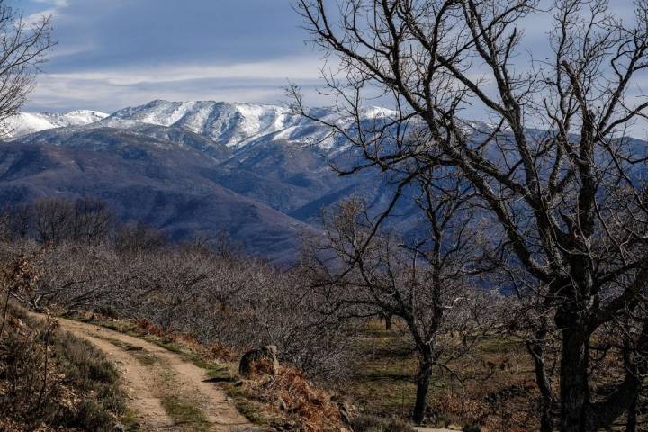 Las montañas atravesando el Puerto de Hondura desde el Valle del Jerte.