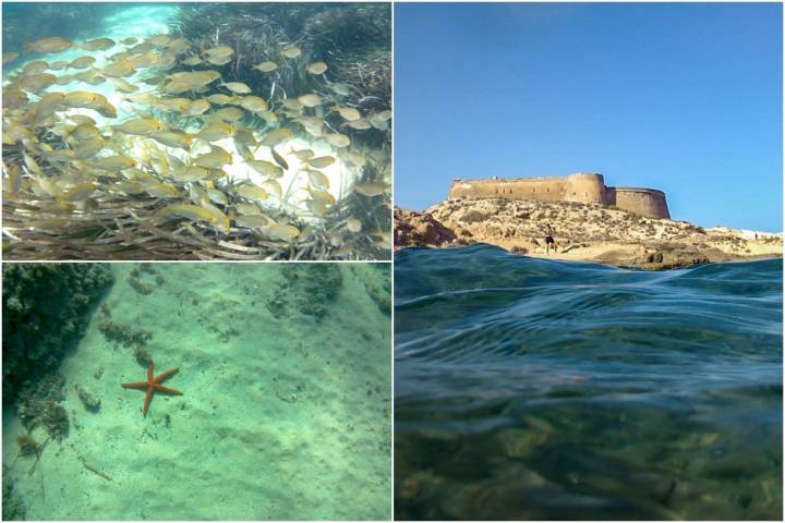 Buceo Cabo de Gata