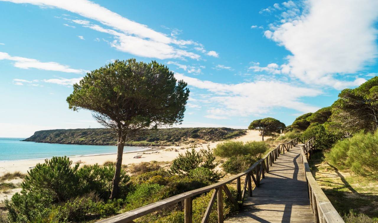 Playa de Bolonia en Cádiz (apertura)