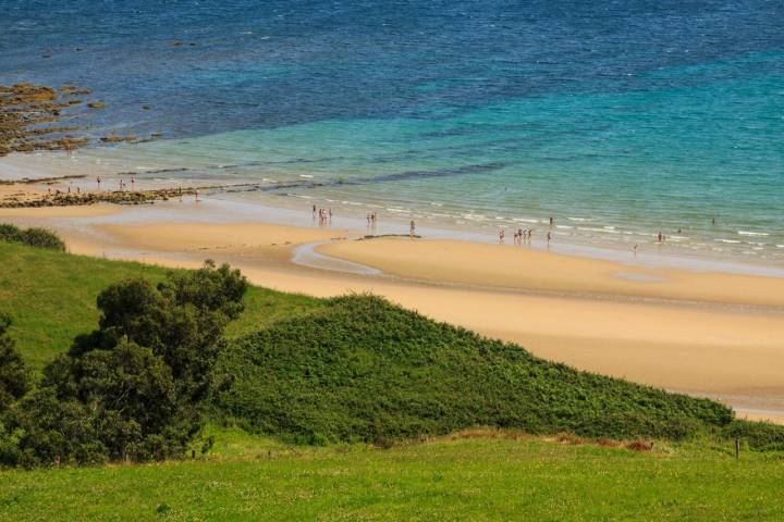 Playa de Oyambre