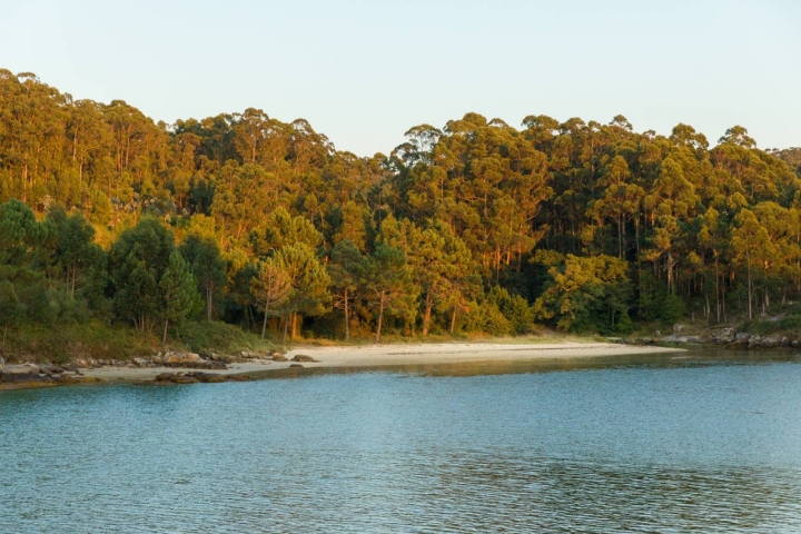 Playa Moreiras