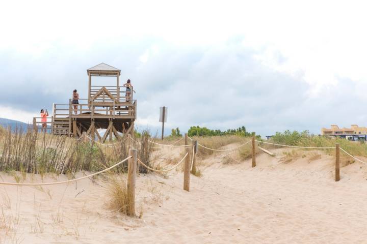 Mirador de aves en La Goleta (Xeraco)