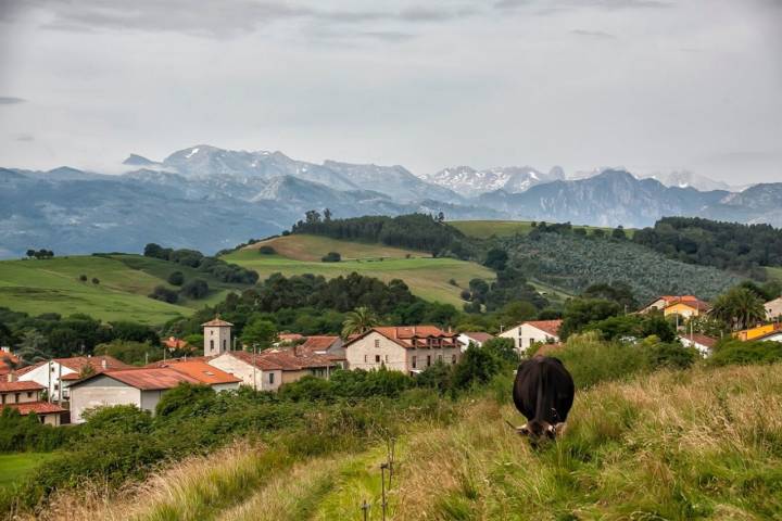 Foto: José García