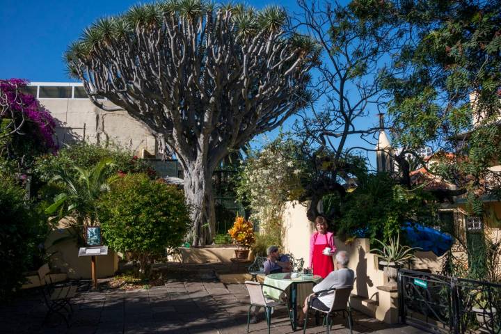 ¿A quién no le apetece un té en los jardines de Sitio Litre?