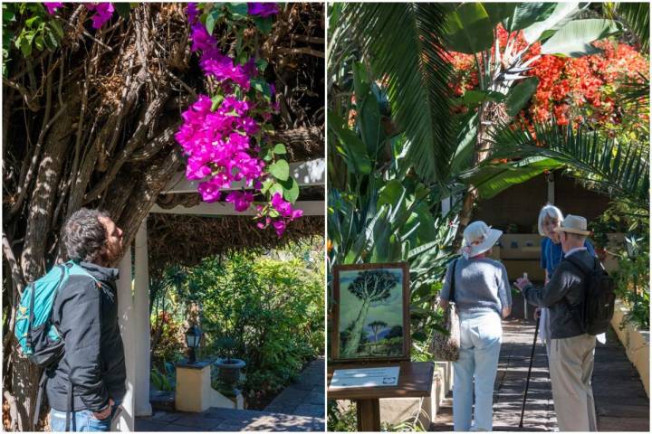 Por estos jardines han pasado grandes nombres, desde Agatha Christie a Dalí.