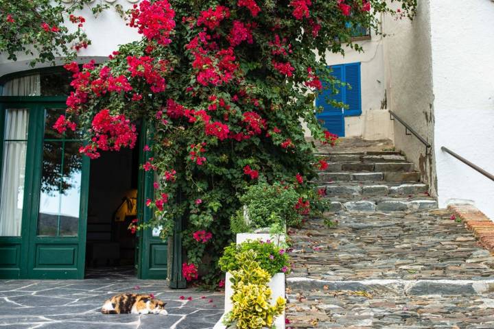 Cadaqués: buganvillas por sus calles