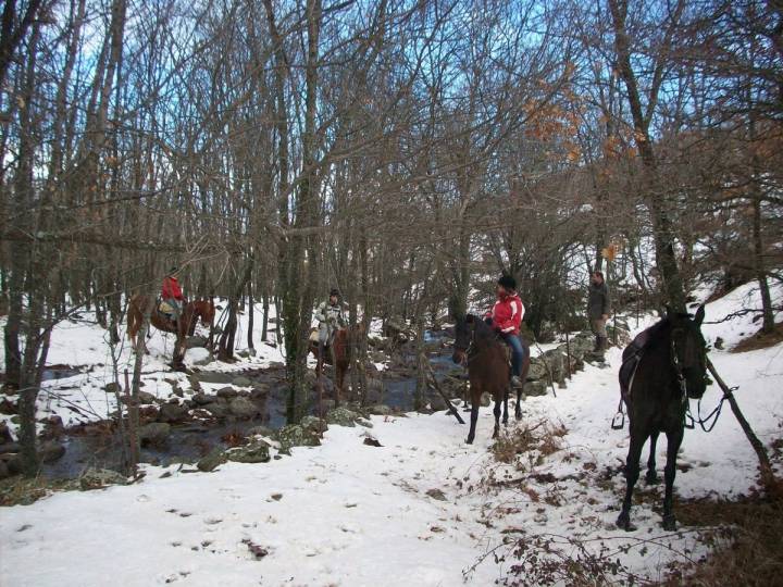 Las rutas sobre nieve son una alternativa a las de luna nocturna. Foto: Caballos del Valle.