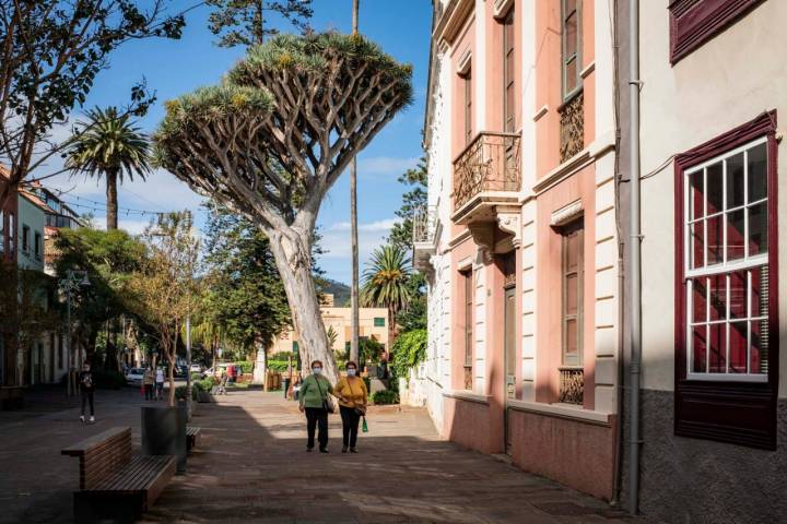 El Instituto de Canarias Cabrera Pinto