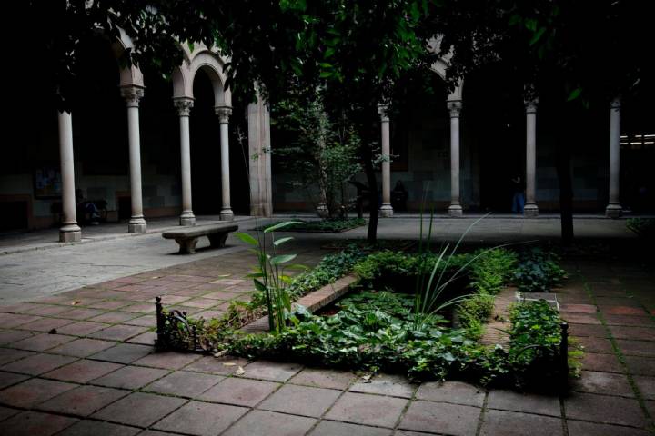 Jardines de la Universidad de Barcelona.