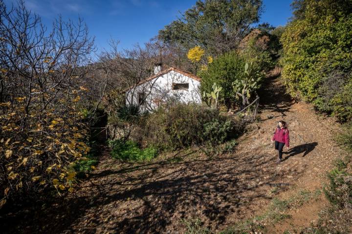 Casas El Calabacino