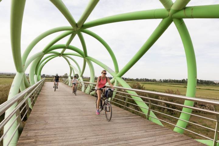 puente del bicentenario