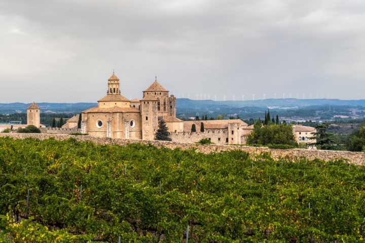 Vista panorámica del Real Monasterio de Santa María de Poblet de la orden cisterciense rodeado de viñedos a principios de otoño. Foto: iStock