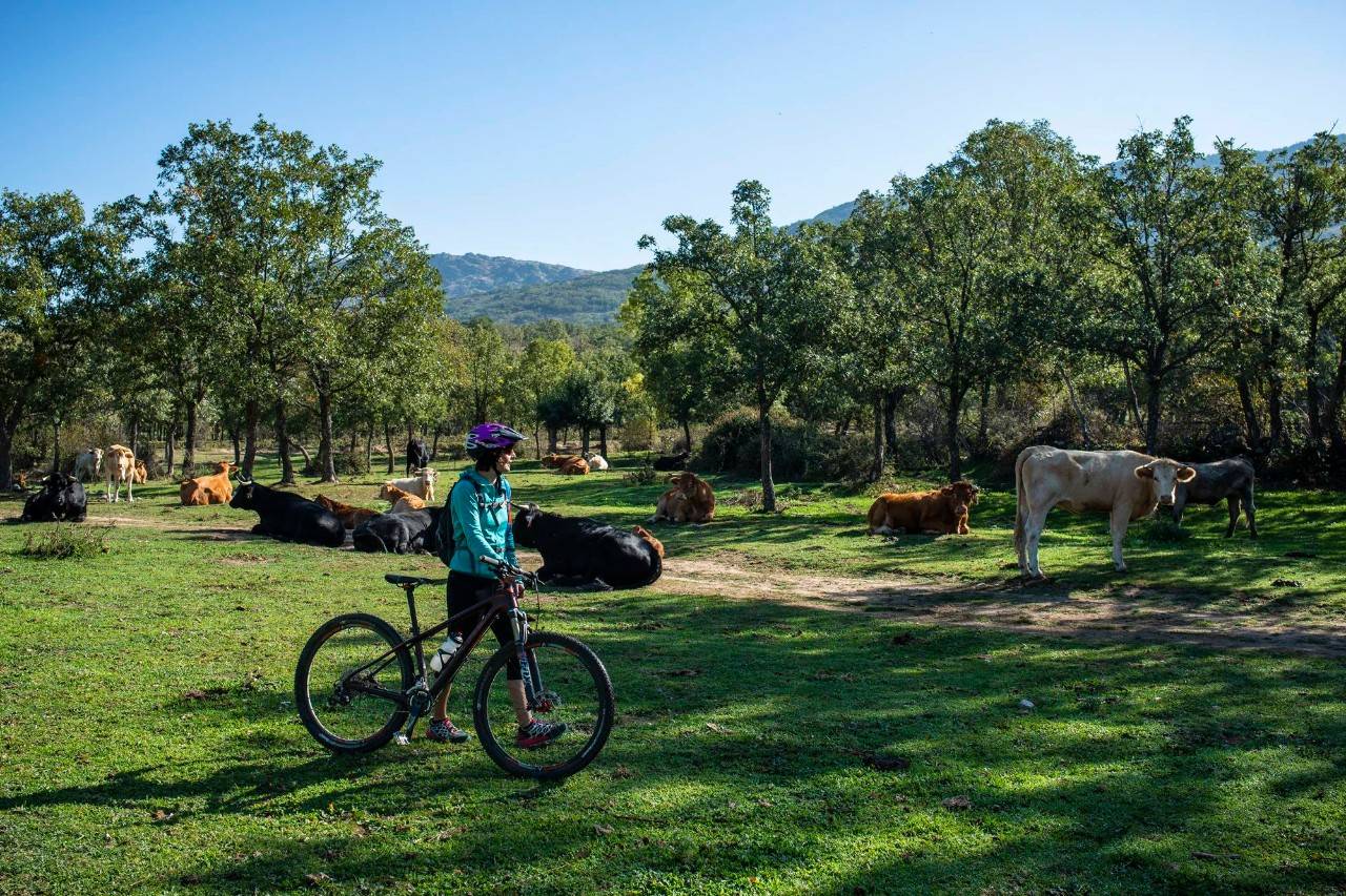 Cuando la bicicleta se convierte en máquina del tiempo