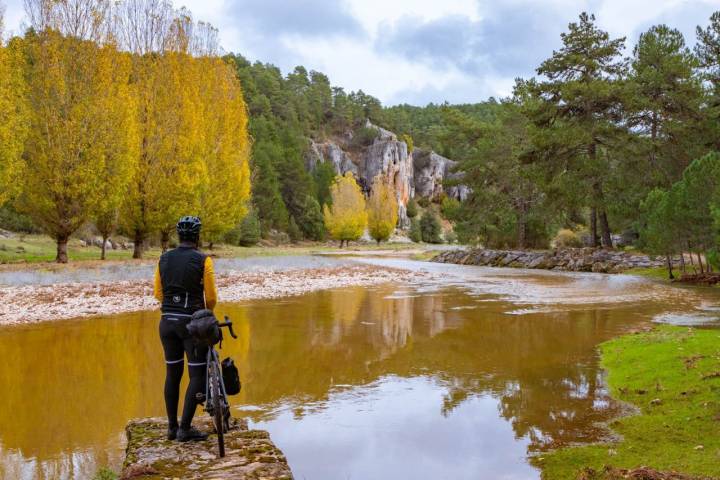 ciclista observando reserva natural de árboles