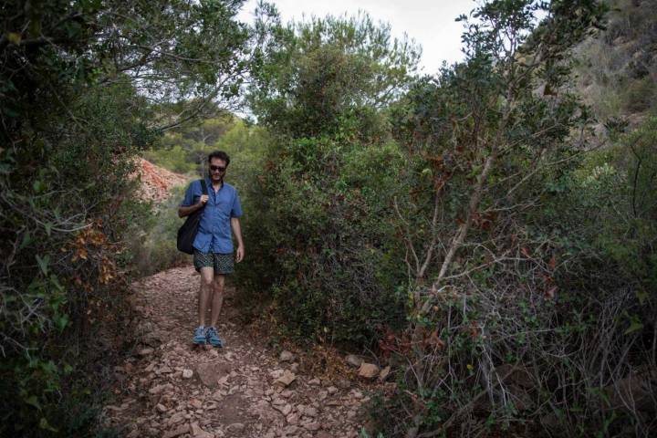 Arbustos faro L'Albir