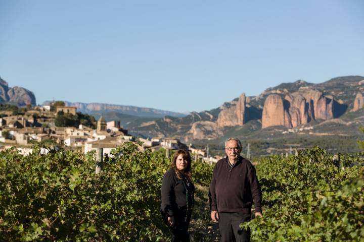 Bodegas Pegaláz