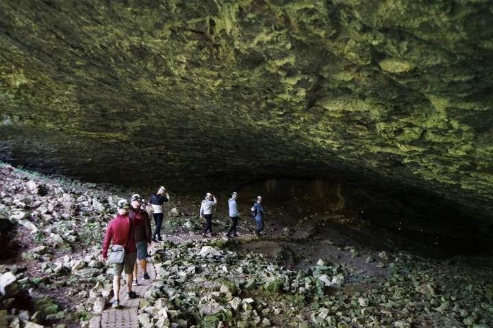 Cueva Palomera