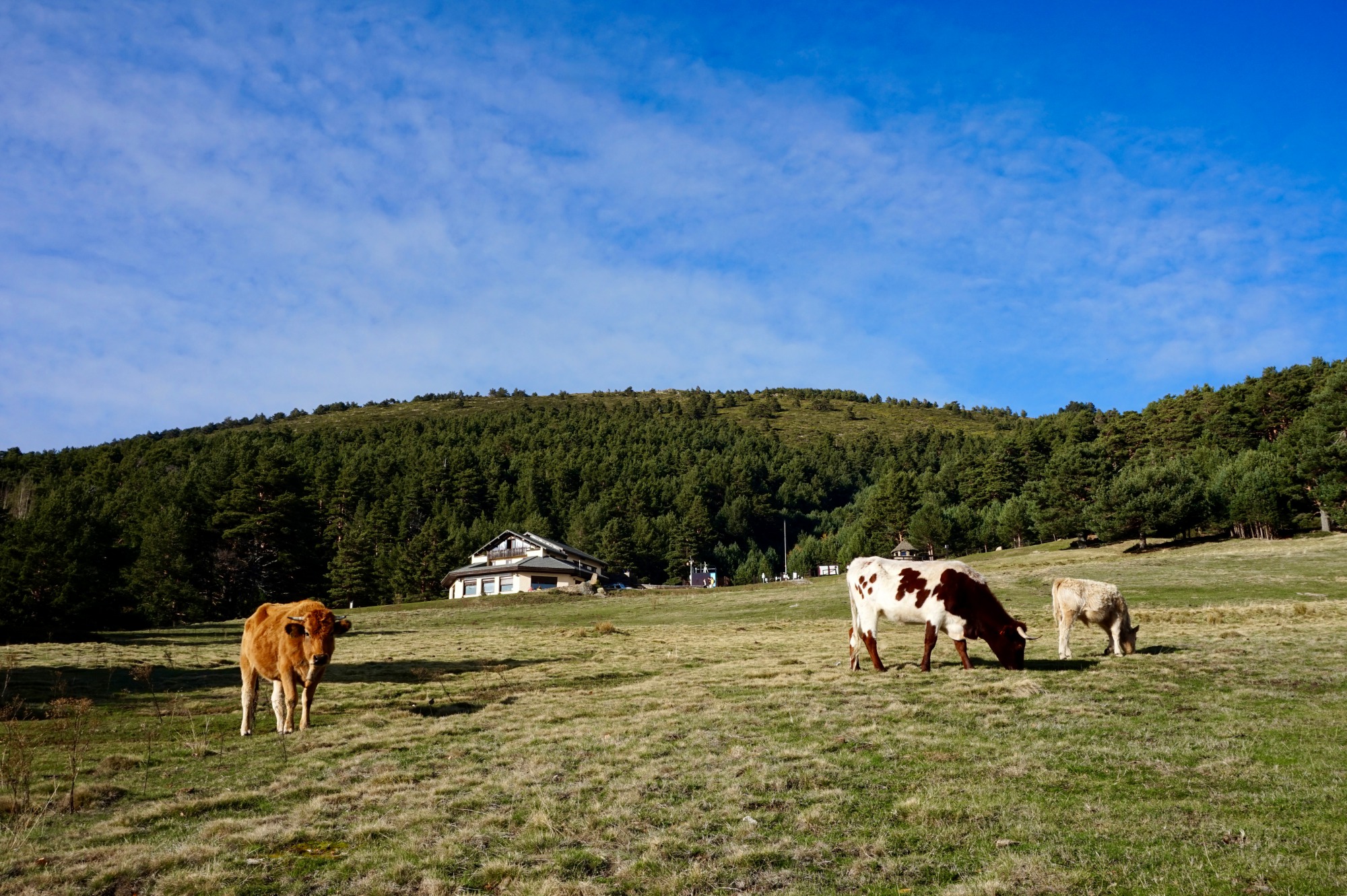 Centro de Visitantes de Peñalara.