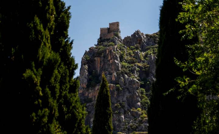 El torreón de Albanchez asoma entre la vegetación.