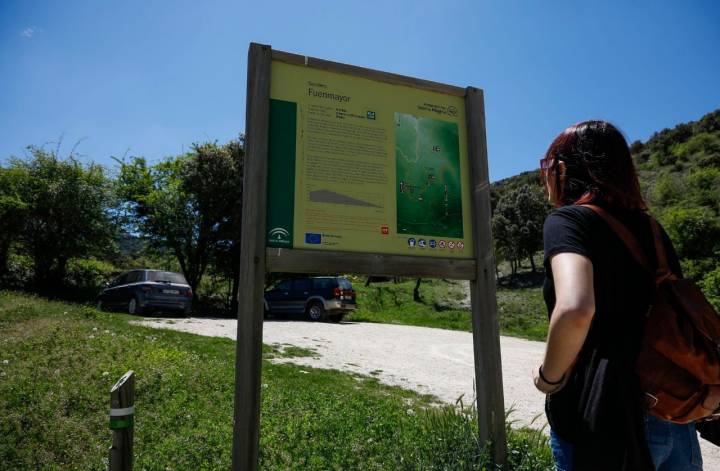 cartel sierra magina