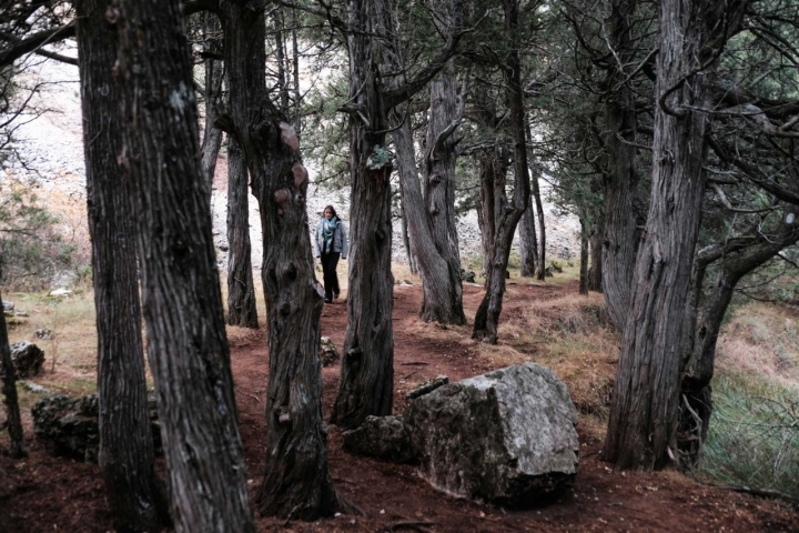 Las piedras que salpican el camino al Chorro Despeñalagua parecen colocadas adrede.