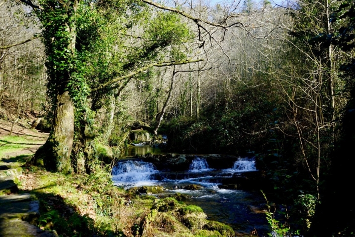 Senda de las cascadas de Oneta.