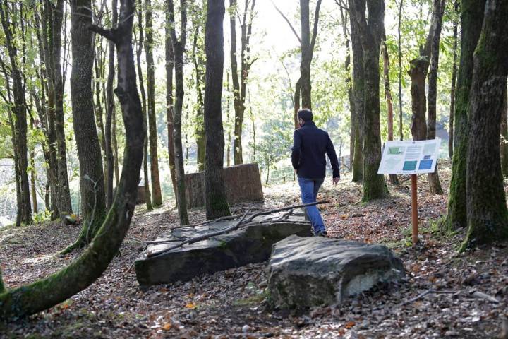 bosque murueta