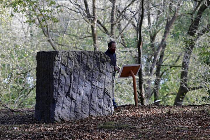 bosque murueta