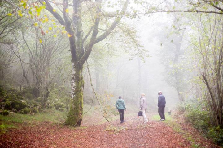 La niebla nos acompaña de camino a la cueva.