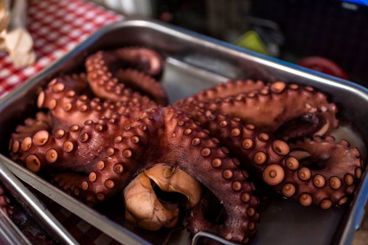 El pulpo que se sirve en el aperitivo es primo muy lejano del 'kraken' famoso del libro.