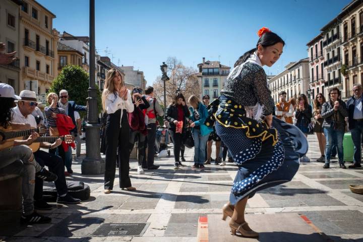 flamenca asiática