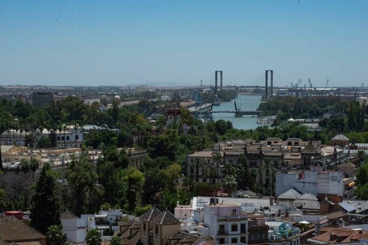 Desde La Giralda, tras luchar por un sitio.