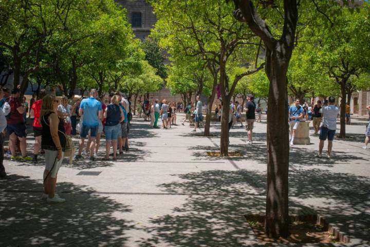 Un paseo por el Patio de los Naranjos tras la visita.