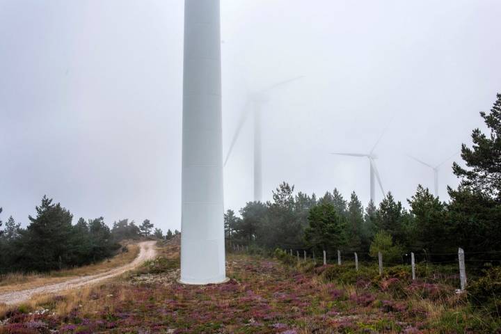 molinos viento camino primitivo