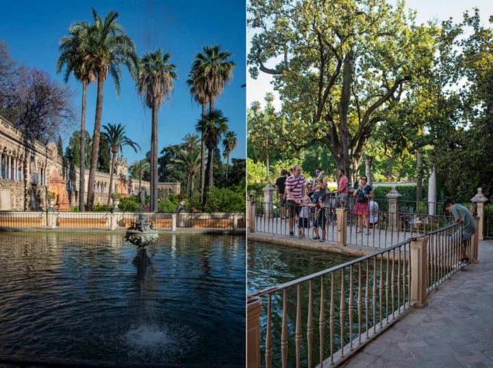 Un lugar con agua dentro de los jardines del Alcázar de Sevilla.