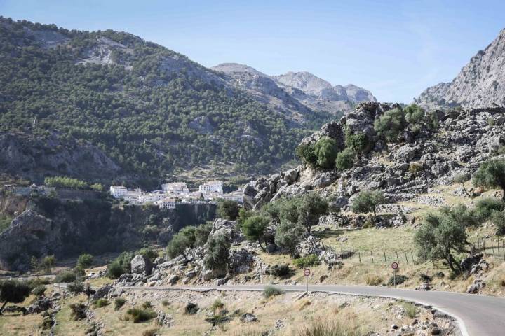 Sierra de Grazalema Cádiz