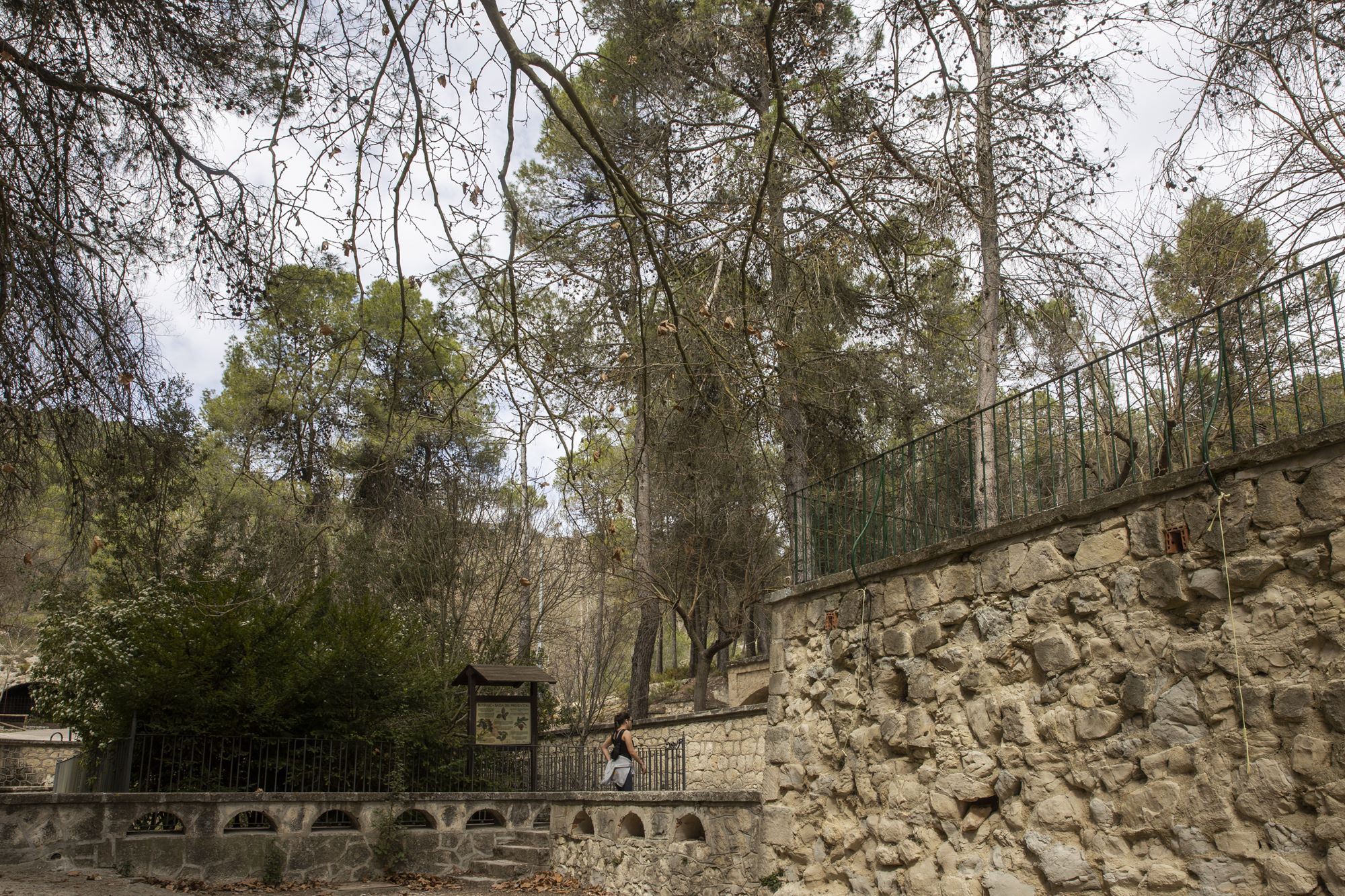 Preventori Alcoy